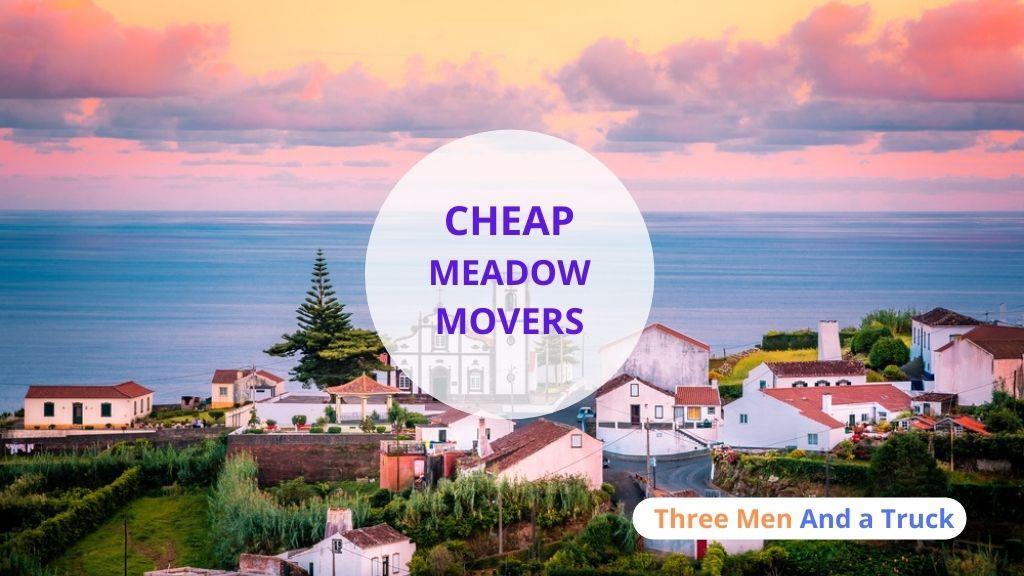 Cheap Local Movers In Meadow and Alaska