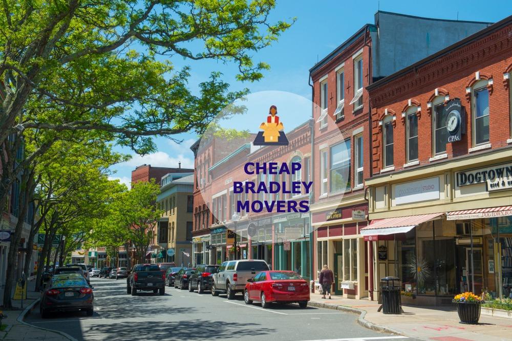cheap local movers in bradley illinois