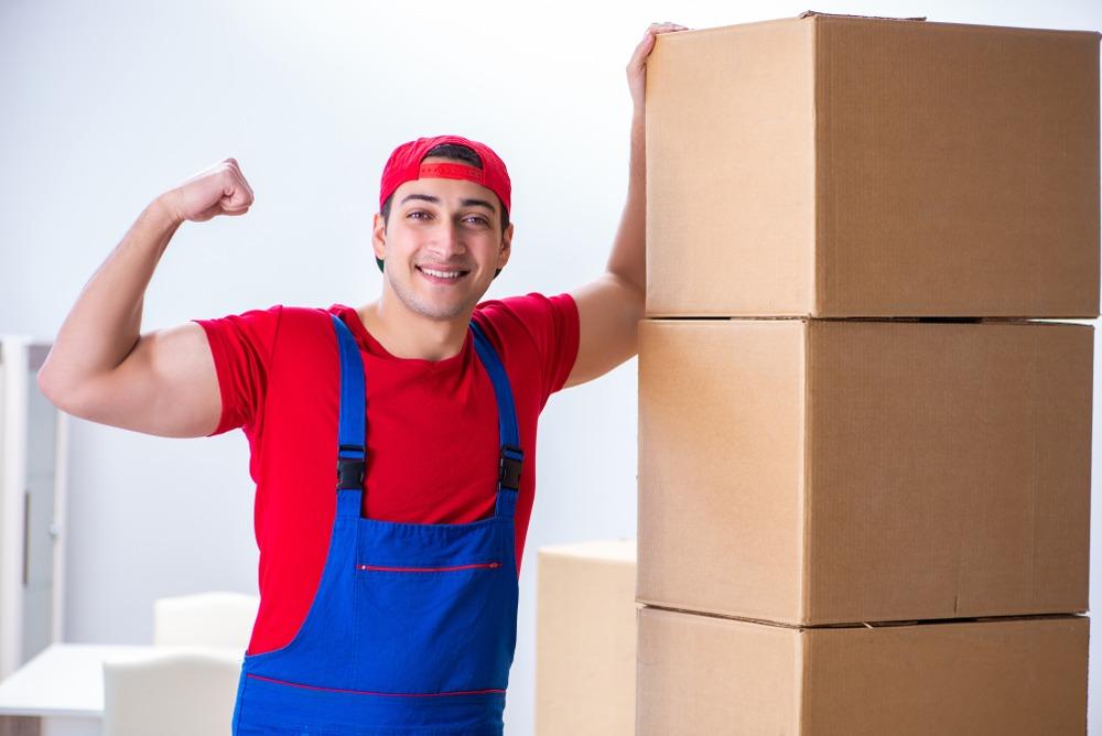 best movers in alsip il