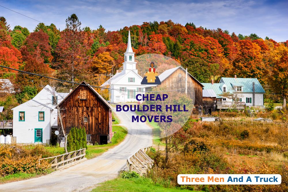 cheap local movers in boulder hill illinois