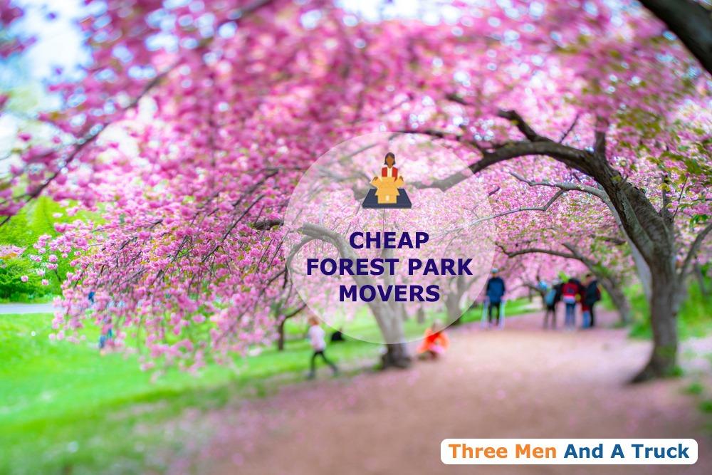 cheap local movers in forest park illinois