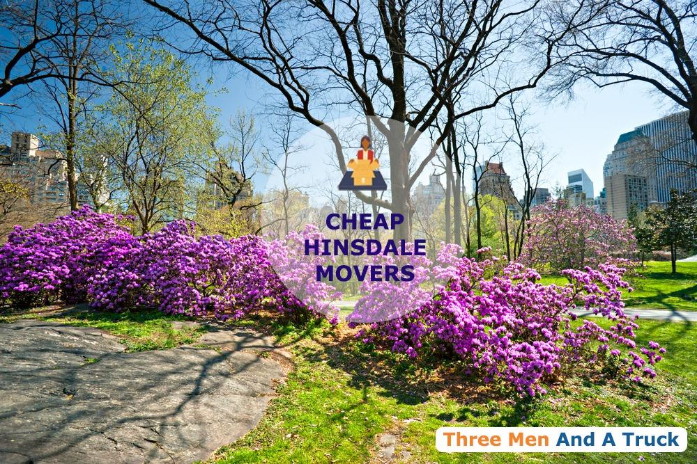 cheap local movers in hinsdale illinois