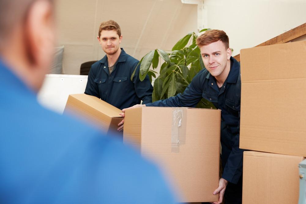 best movers in robinson il