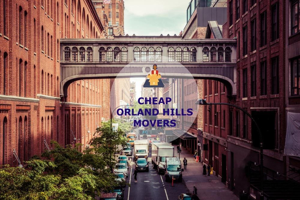 cheap local movers in orland hills illinois