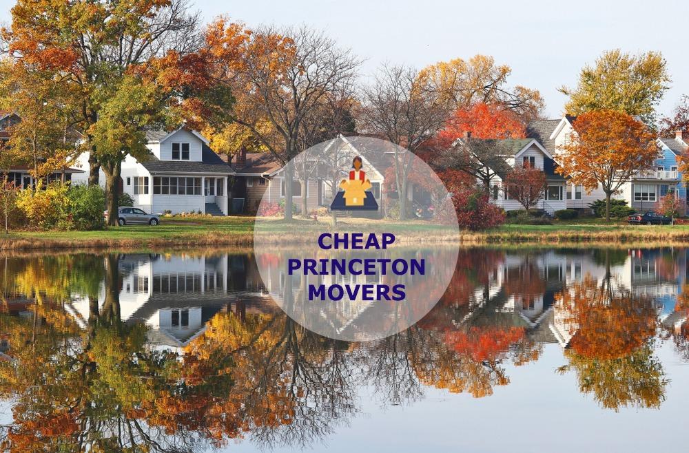 cheap local movers in princeton illinois