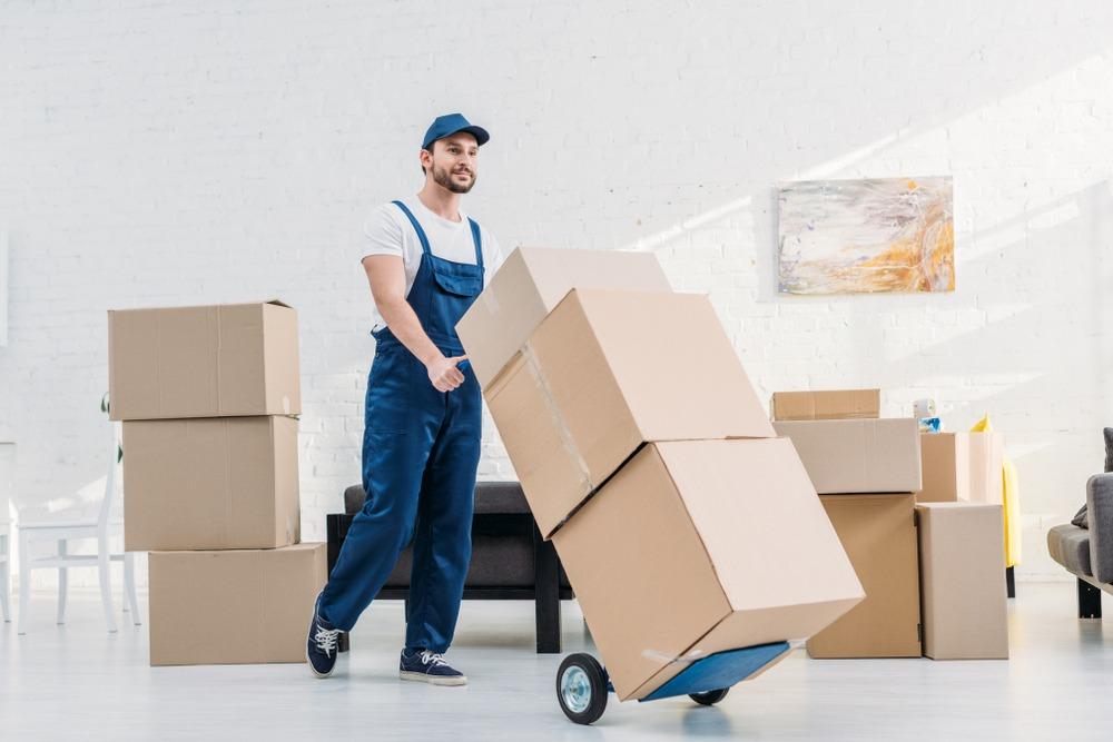 Long Distance Movers In Albany and California