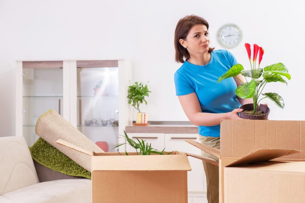 Cheap Local Movers In Fort Defiance, Arizona