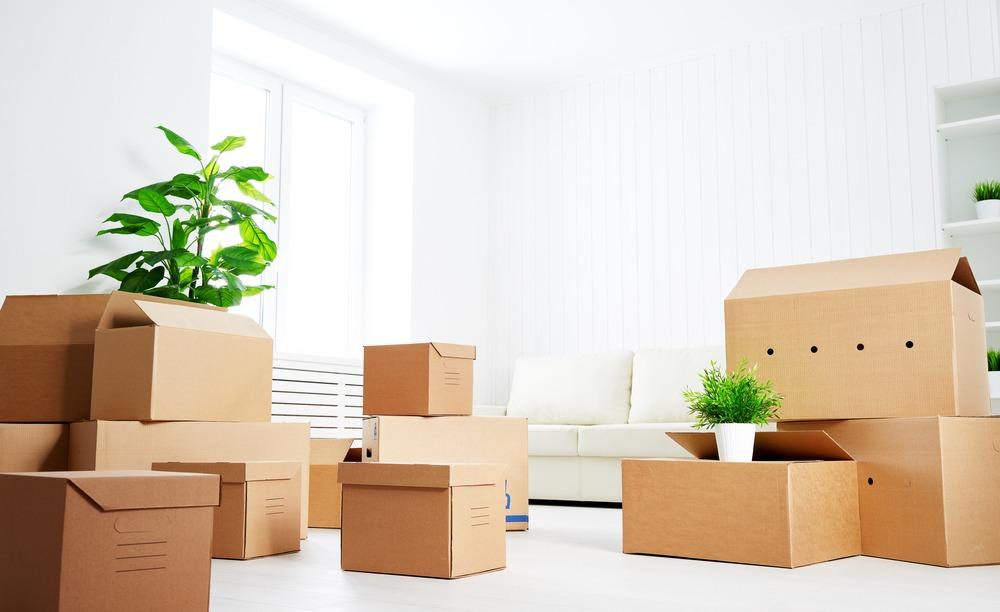 long distance movers in freeburg illinois