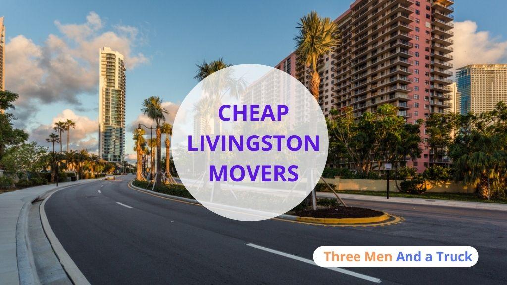 Cheap Local Movers In Livingston and California