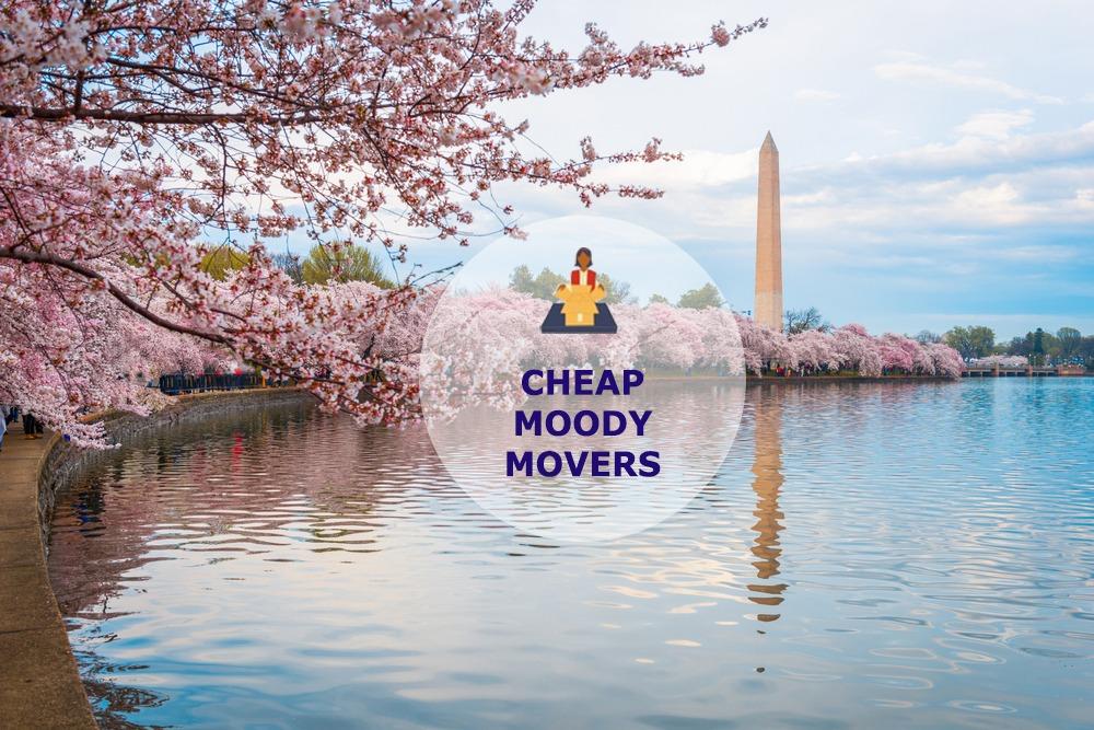 cheap local movers in moody alabama