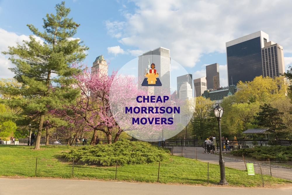 cheap local movers in morrison illinois