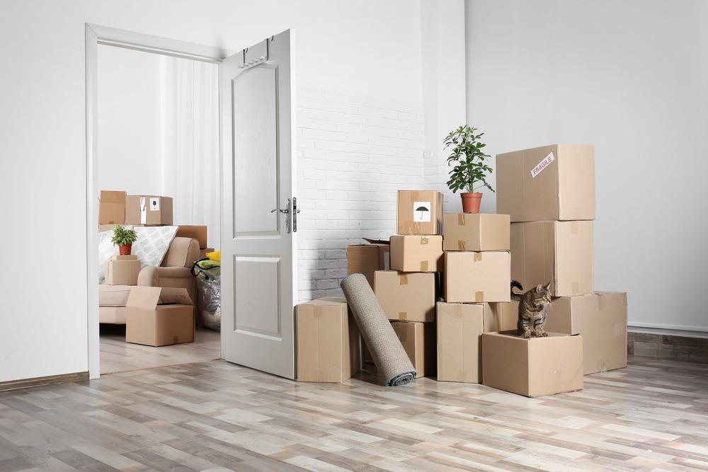 Best Movers In California City, CA