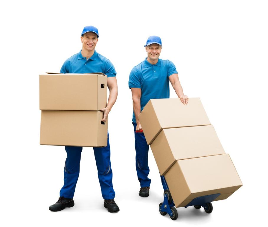 best movers in olympia fields il