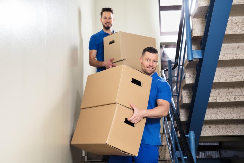 best movers in south elgin il