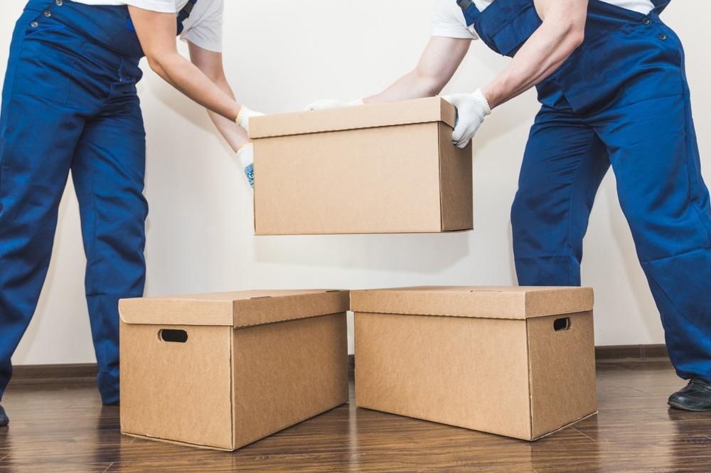 best movers in volo il