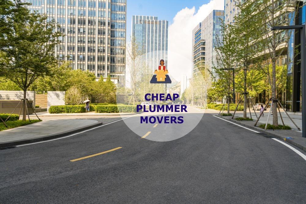 cheap local movers in plummer idaho