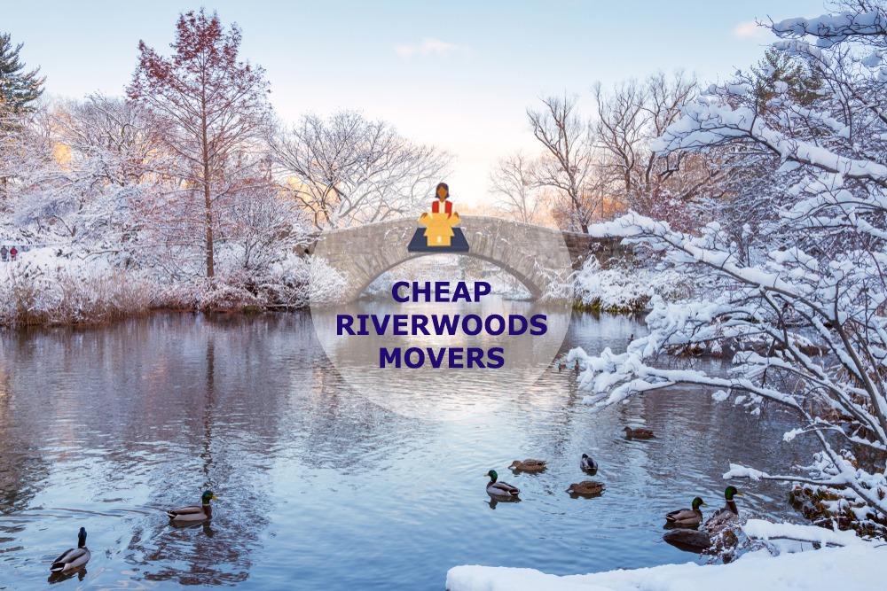 cheap local movers in riverwoods illinois