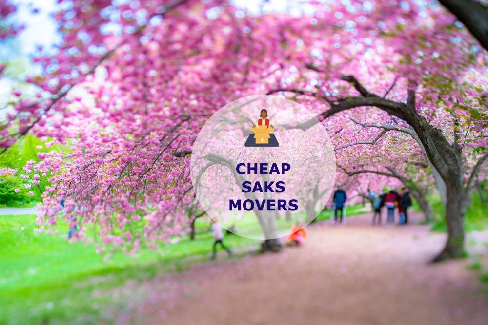 cheap local movers in saks alabama