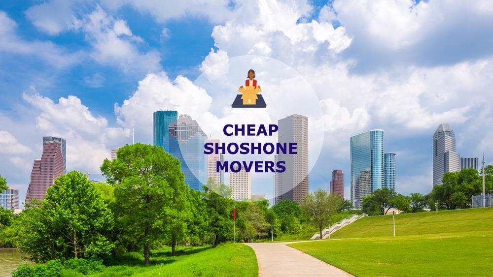 cheap local movers in shoshone idaho