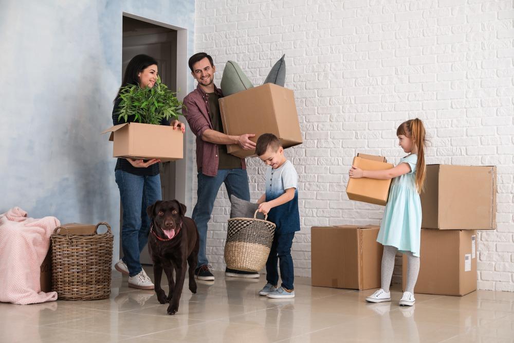 long distance movers in wilmington city illinois