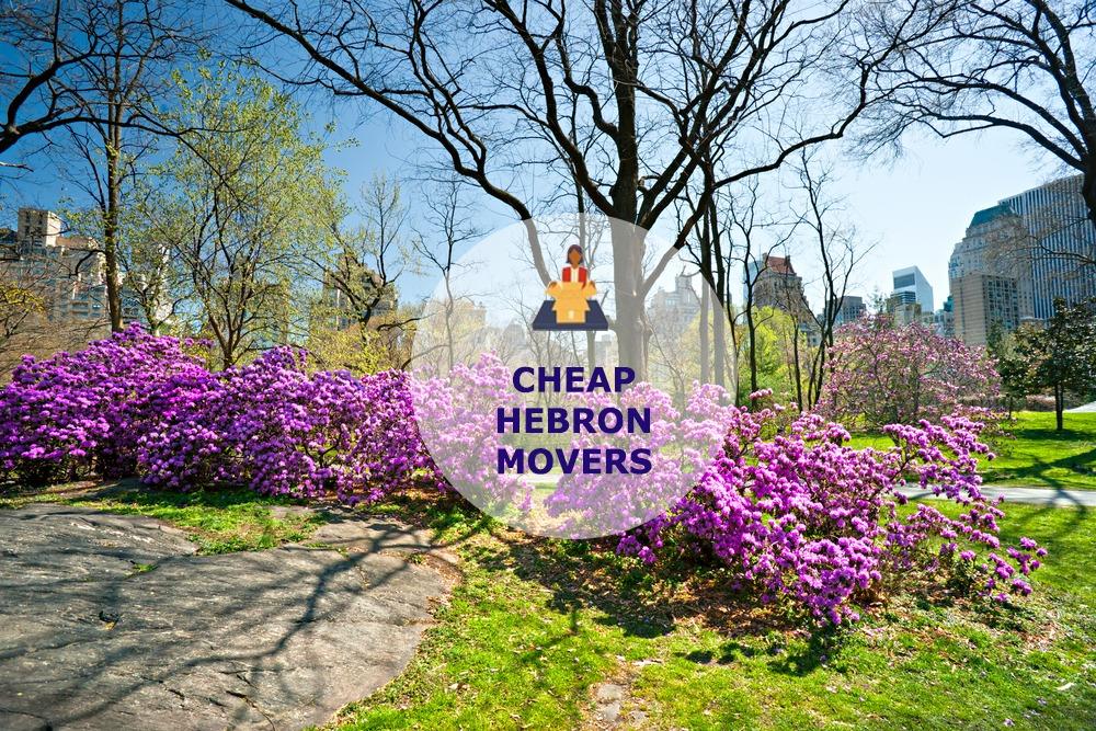 cheap local movers in hebron connecticut