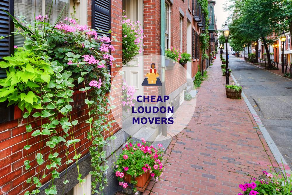 cheap local movers in loudon tennessee
