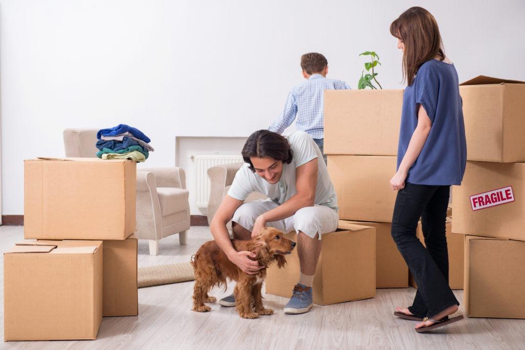 Long Distance Movers In Mississauga, Ontario