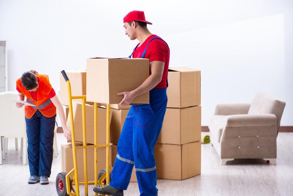 Cheap Local Movers In Mountain View City, California