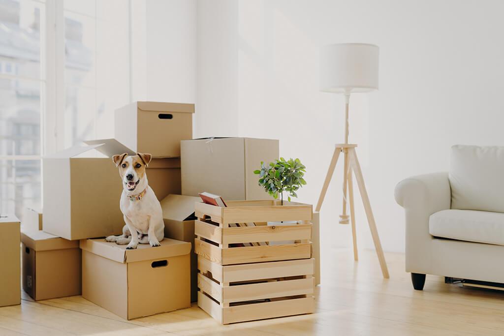 Same Day Movers In Norwalk and Connecticut