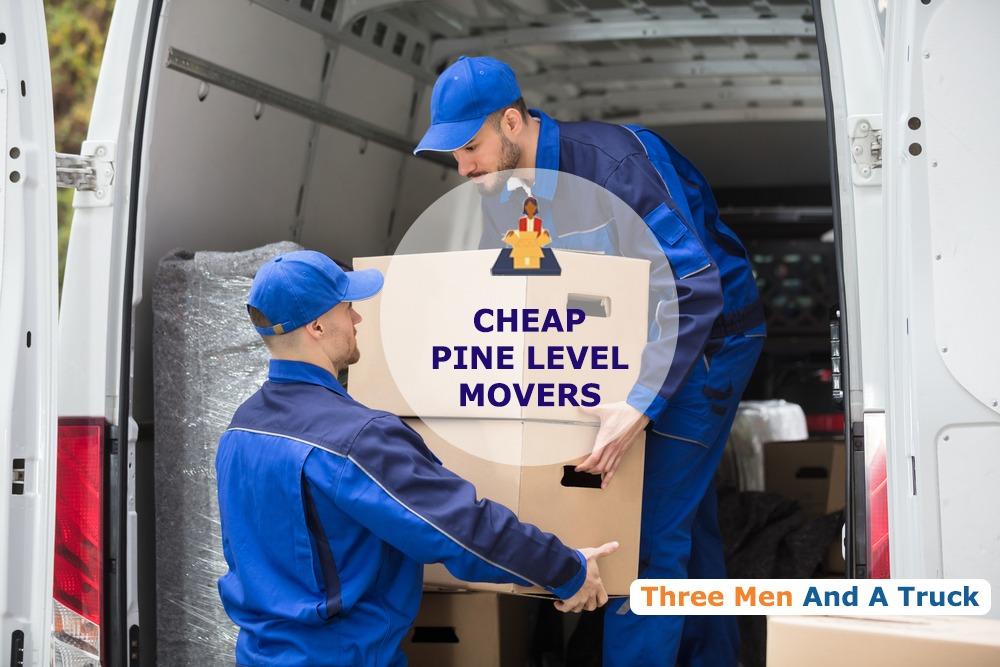 cheap local movers in pine level alabama