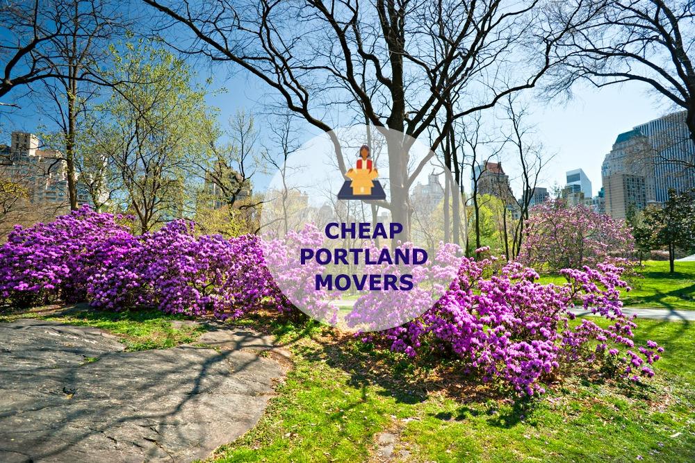 cheap local movers in portland tennessee