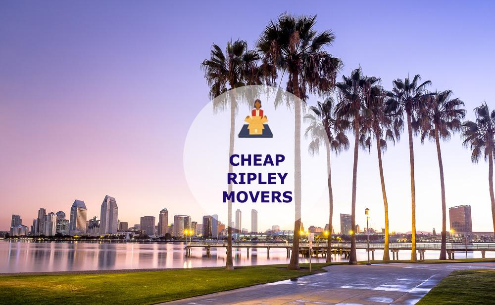 cheap local movers in ripley tennessee