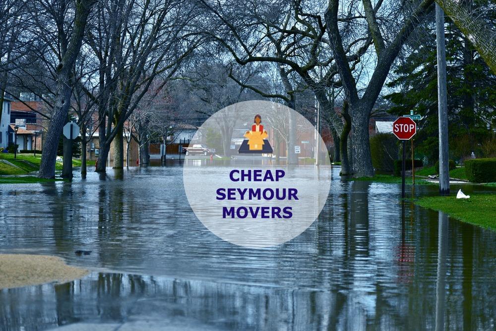 cheap local movers in seymour tennessee