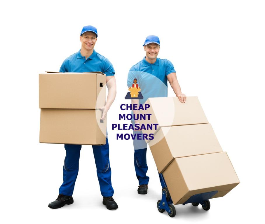 cheap local movers in mount pleasant tennessee