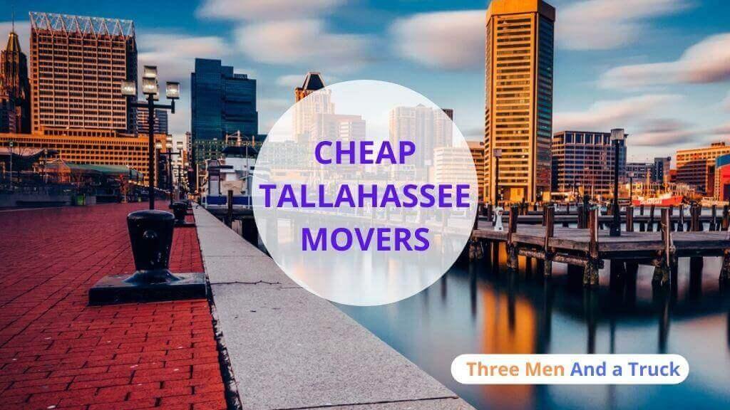 skilled movers tallahassee