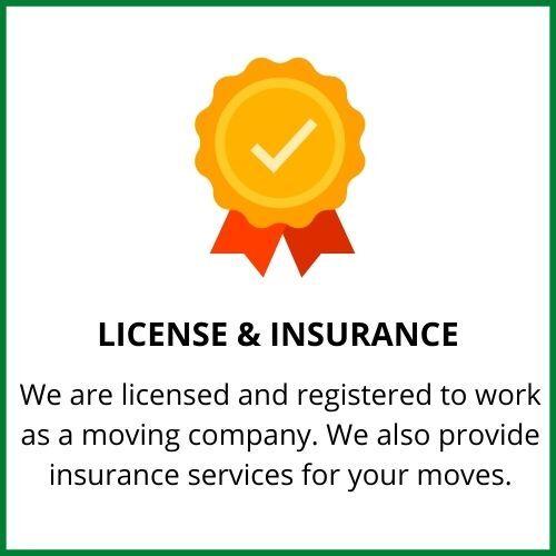 License & Insurance