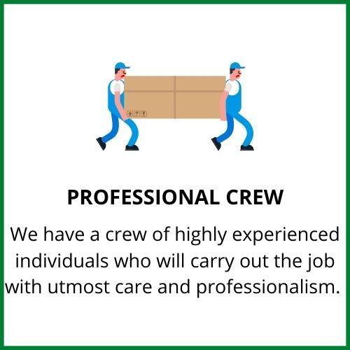 Professional Moving Crew