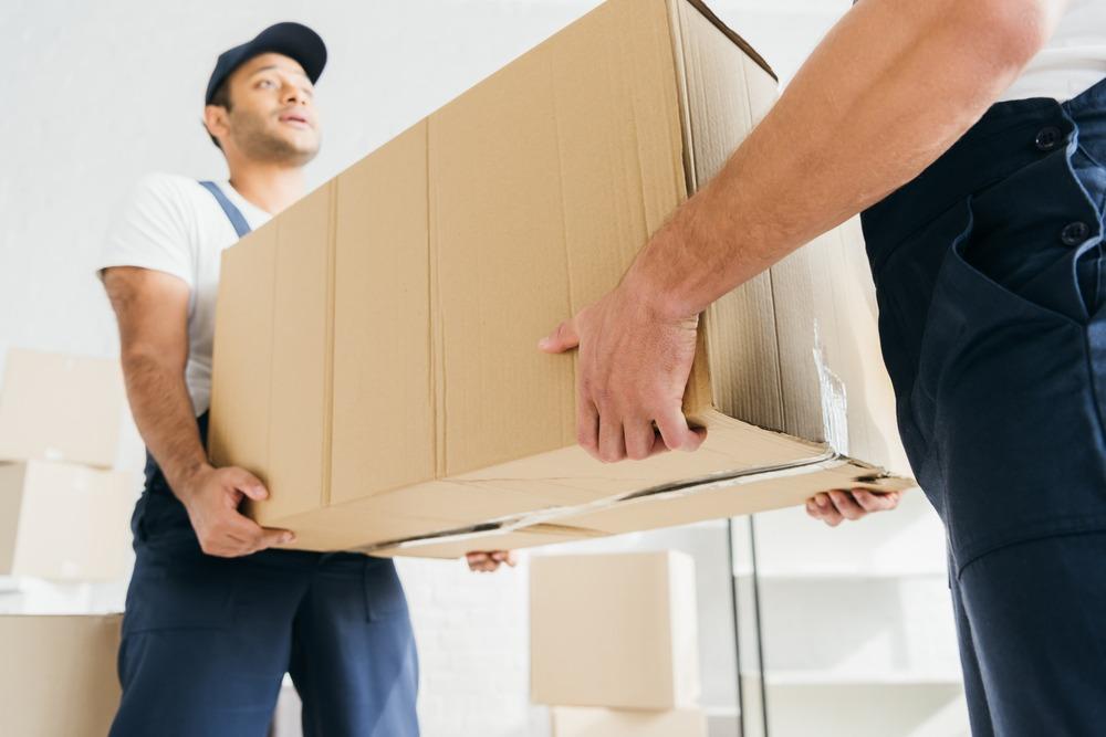 moving services in lewes delaware