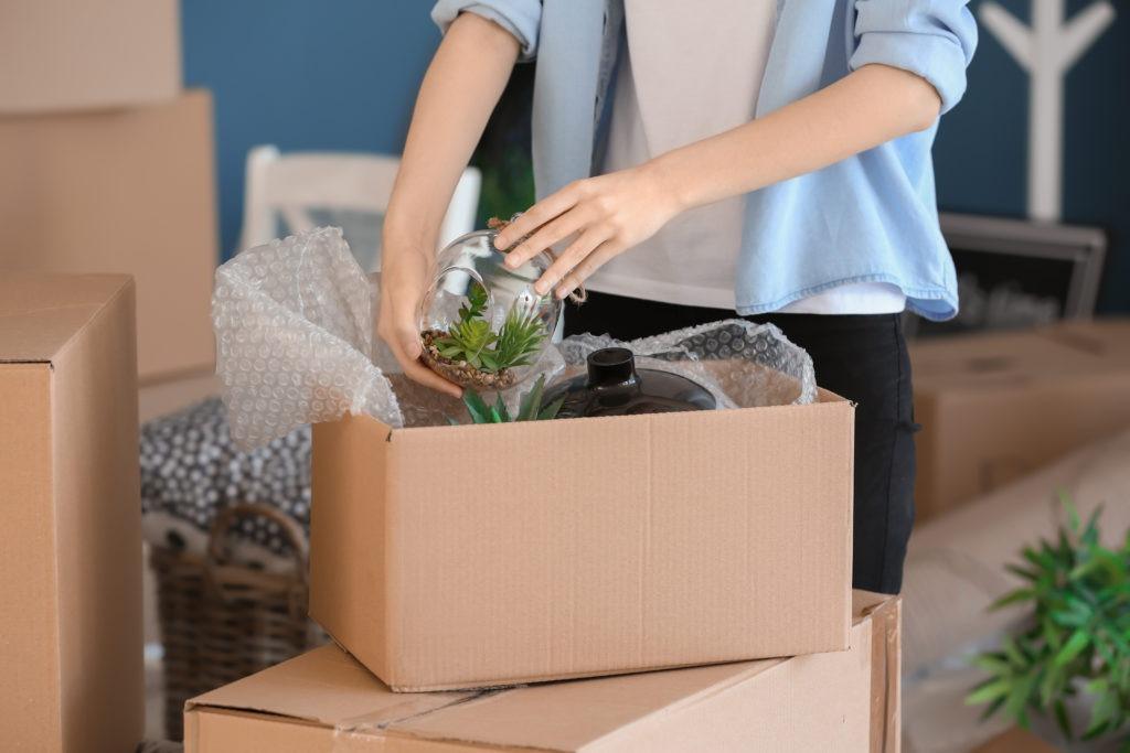 cheap cleveland to jersey city moving company