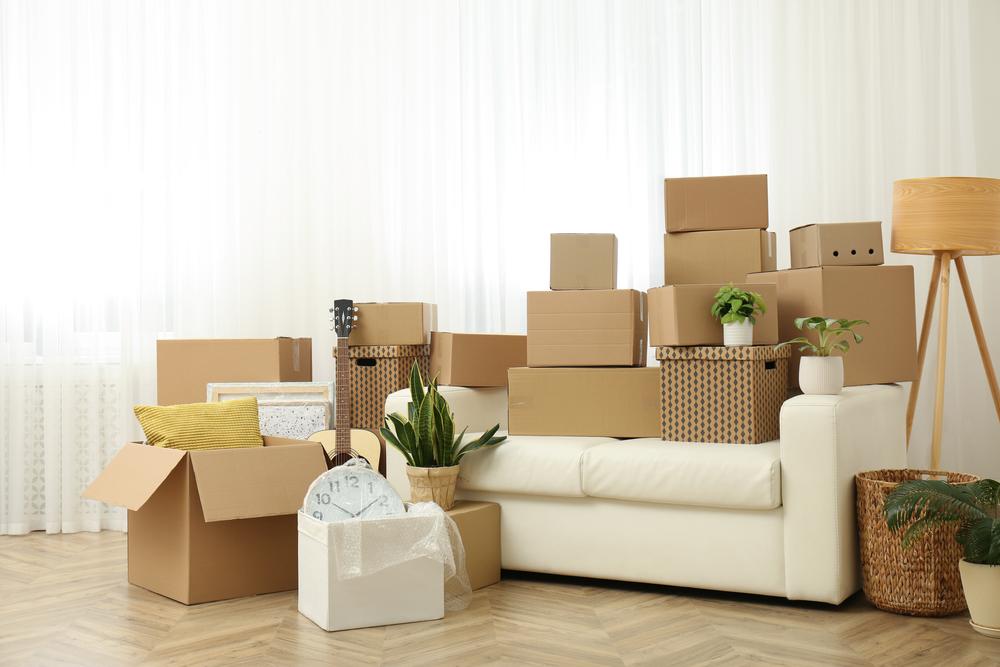 fort wayne to plano movers and packers