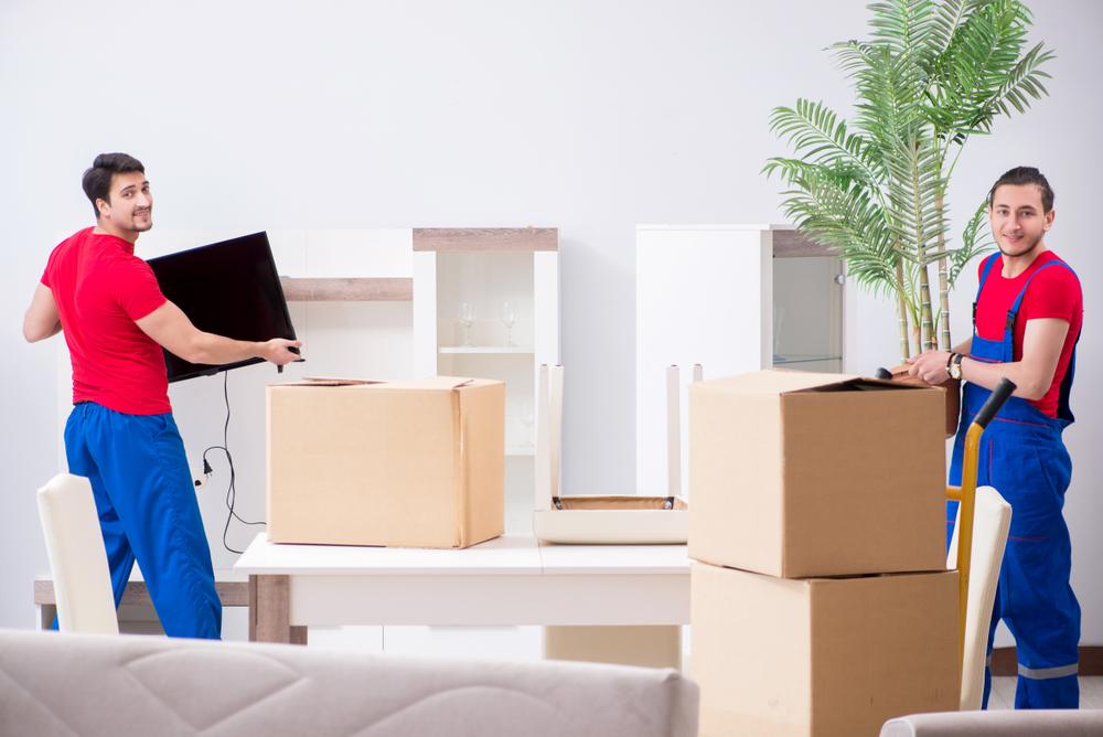 fort wayne to san diego movers and packers