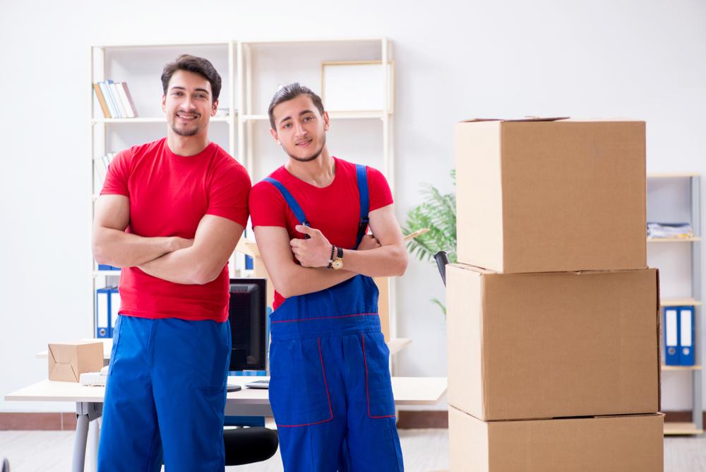 fort wayne to tampa movers and packers