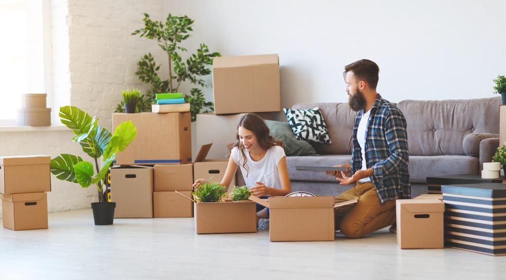 frisco to tampa movers and packers